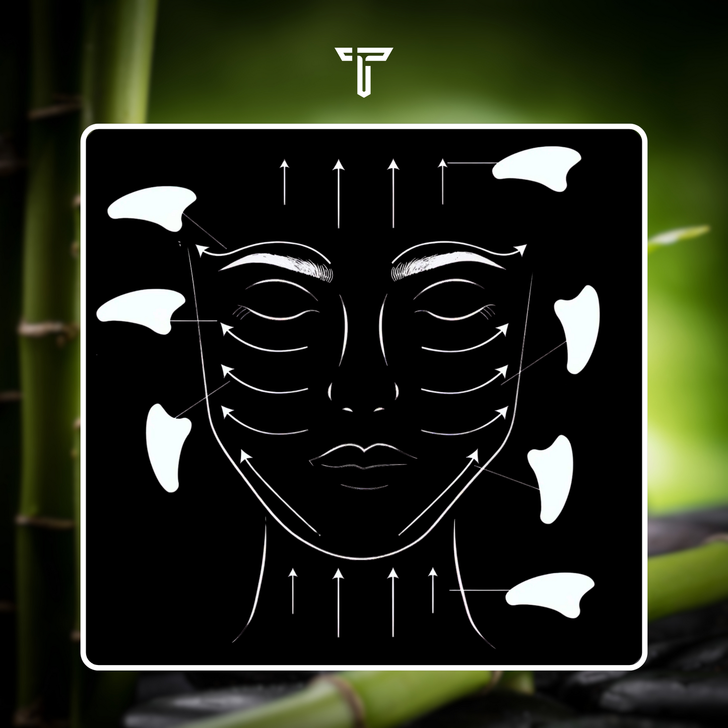 TruMaxxed™ Gua Sha