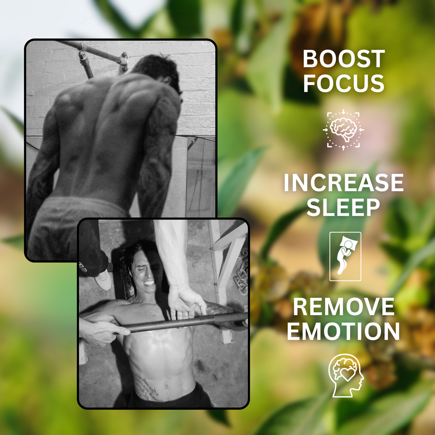TruMaxxed™ Ashwagandha